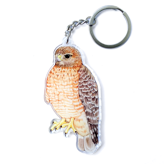 A keychain of a red-shouldered hawk