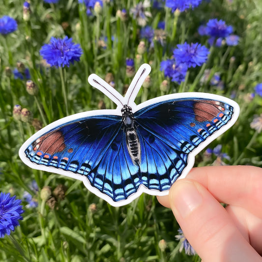 A hand holding a sticker featuring an illustration of a red-spotted purple butterlfy