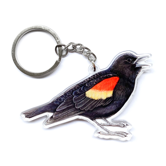 Keychain of a red-winged blackbird on a white background