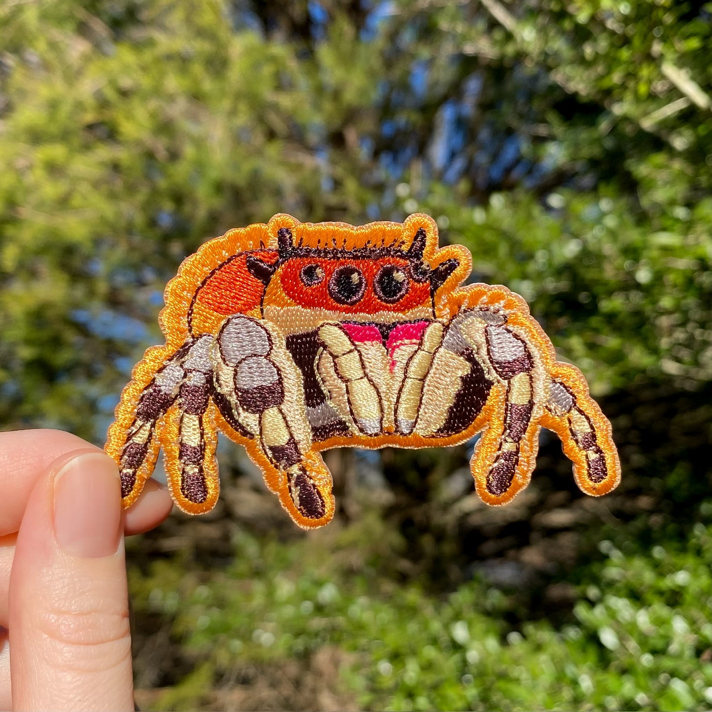 An embroidered patch of a regal jumping spider held in a hand, with a background of foliage.