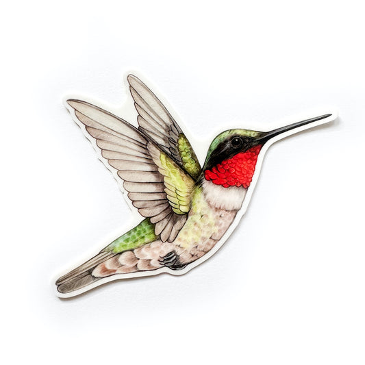 Male Ruby-Throated Hummingbird Weatherproof Vinyl Sticker