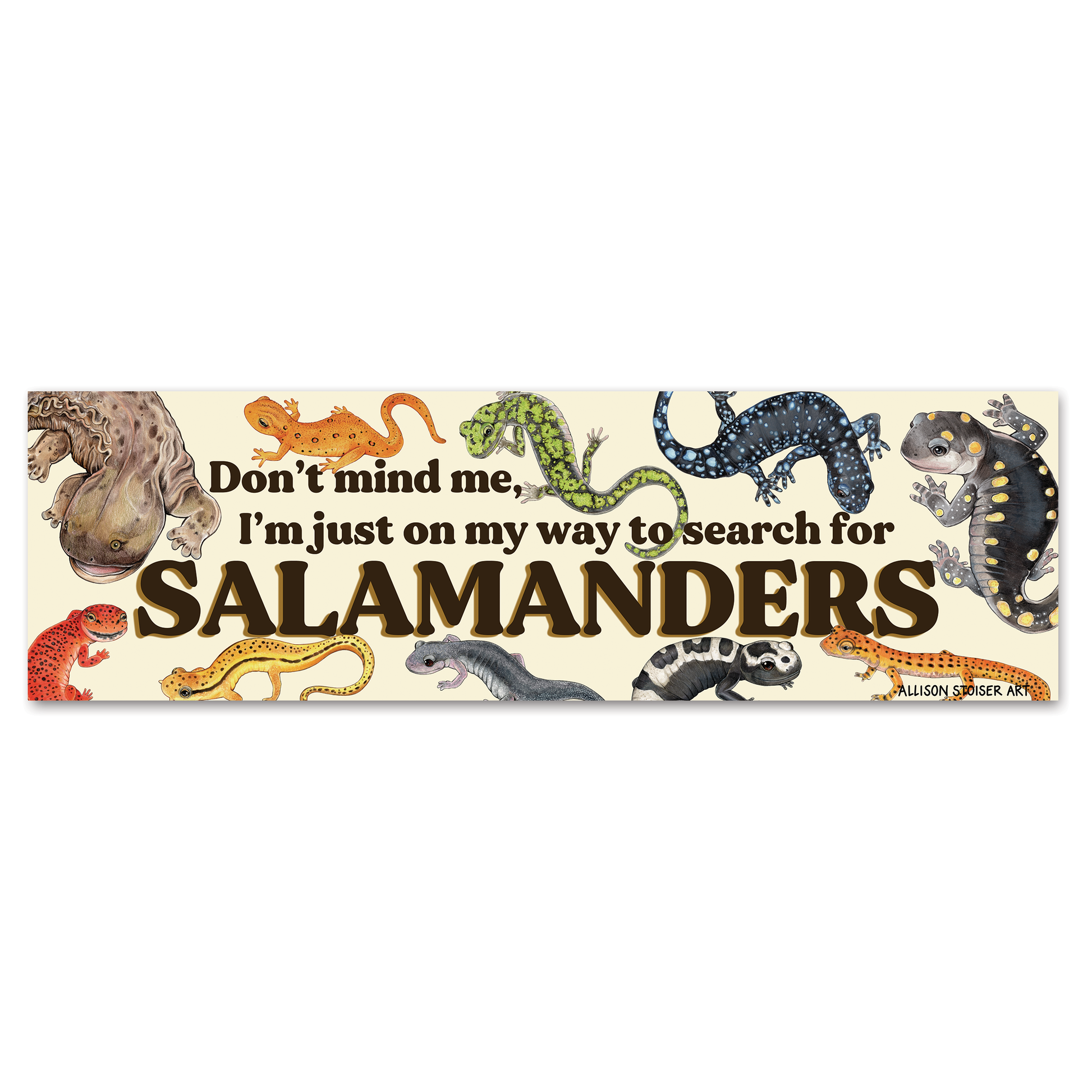 Bumper magnet with illustrations of salamanders and text that reads 'Don't mind me, I'm just on my way to search for salamanders' on a white background