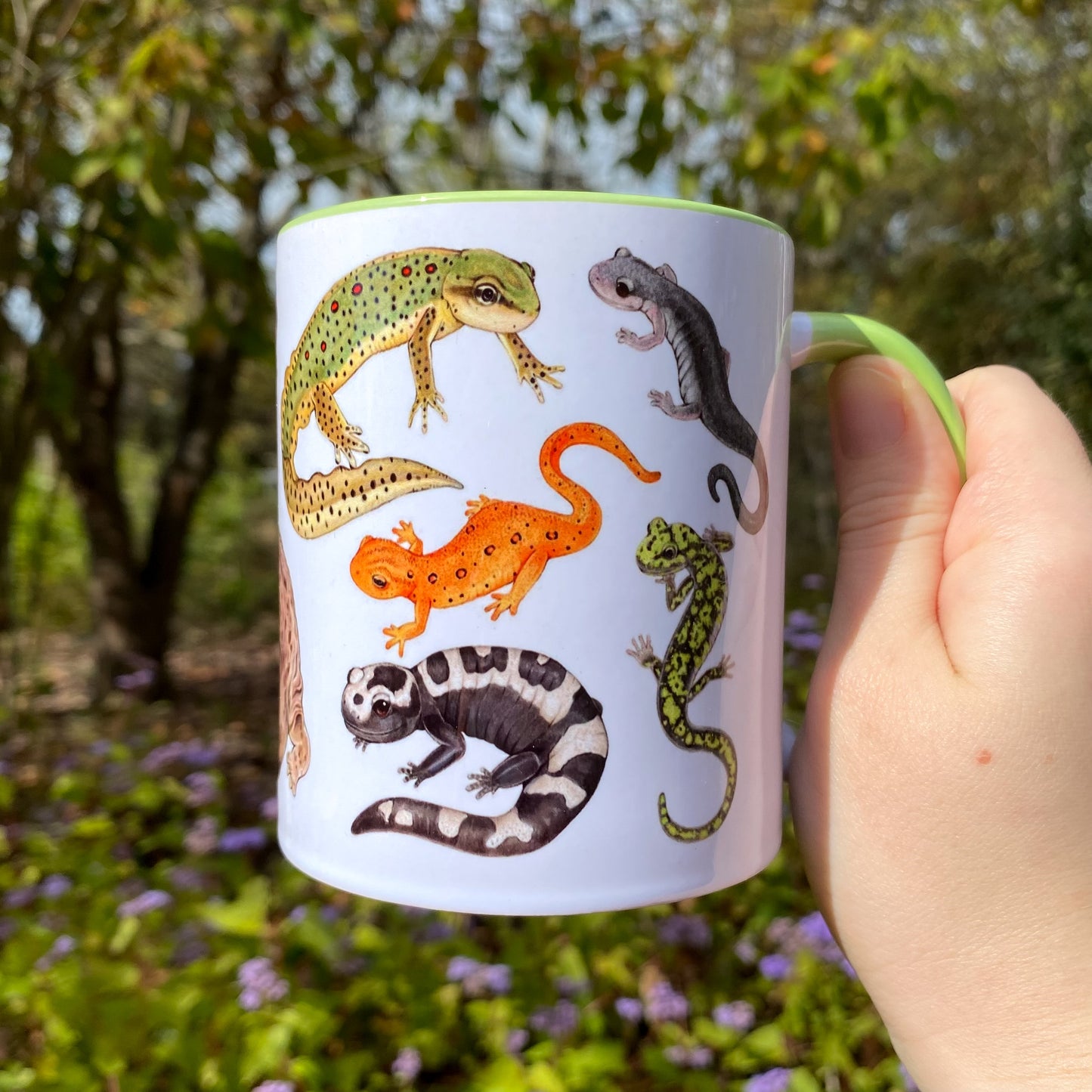 Mug with illustrations of salamanders and newts held by a hand in a natural setting
