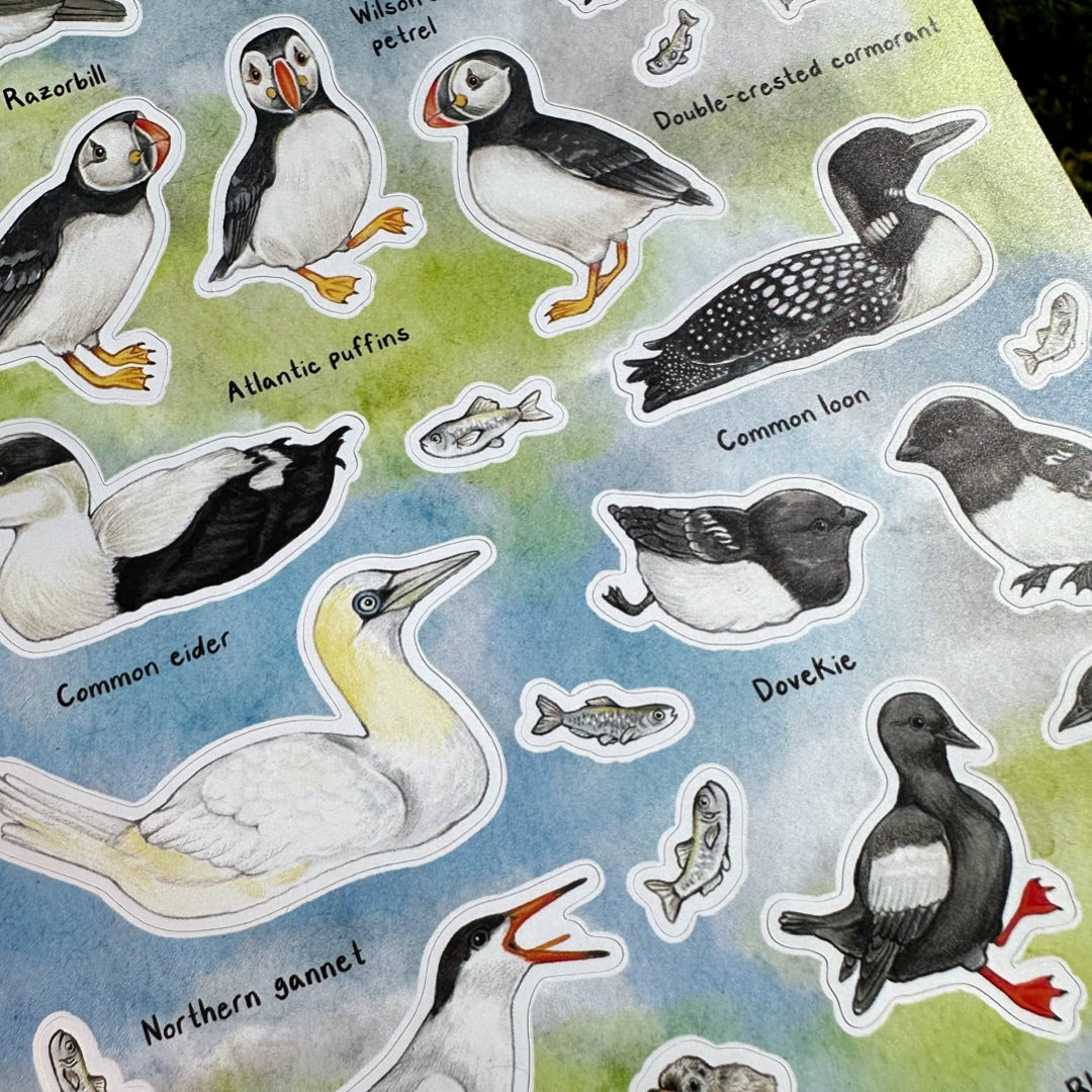 Atlantic Seabird Sticker Sheet Close-up