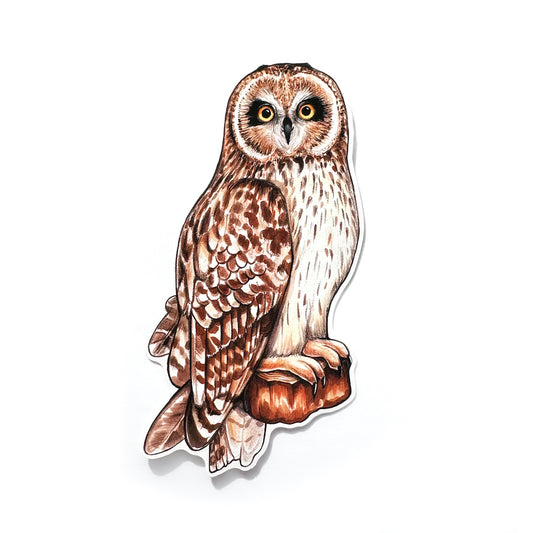 Short-eared Owl Weatherproof Vinyl Sticker
