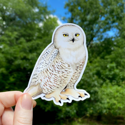 Vinyl sticker of a snowy owl