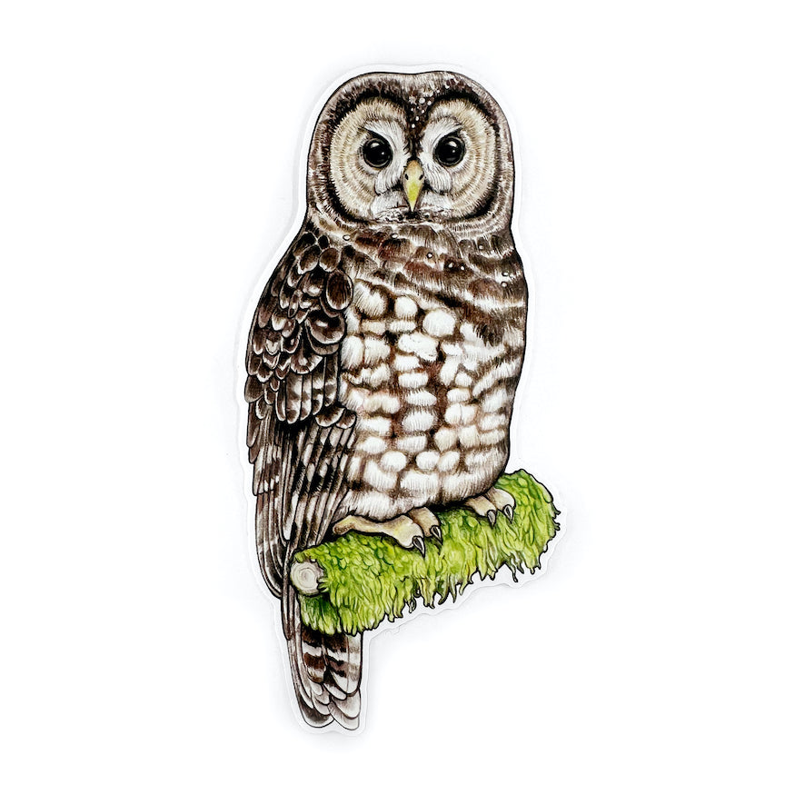 A hand holding a sticker featuring an illustration of a spotted owl