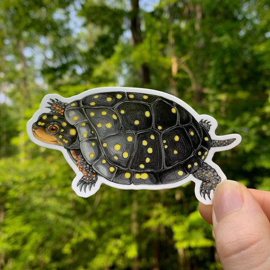 spotted turtle weatherproof vinyl sticker