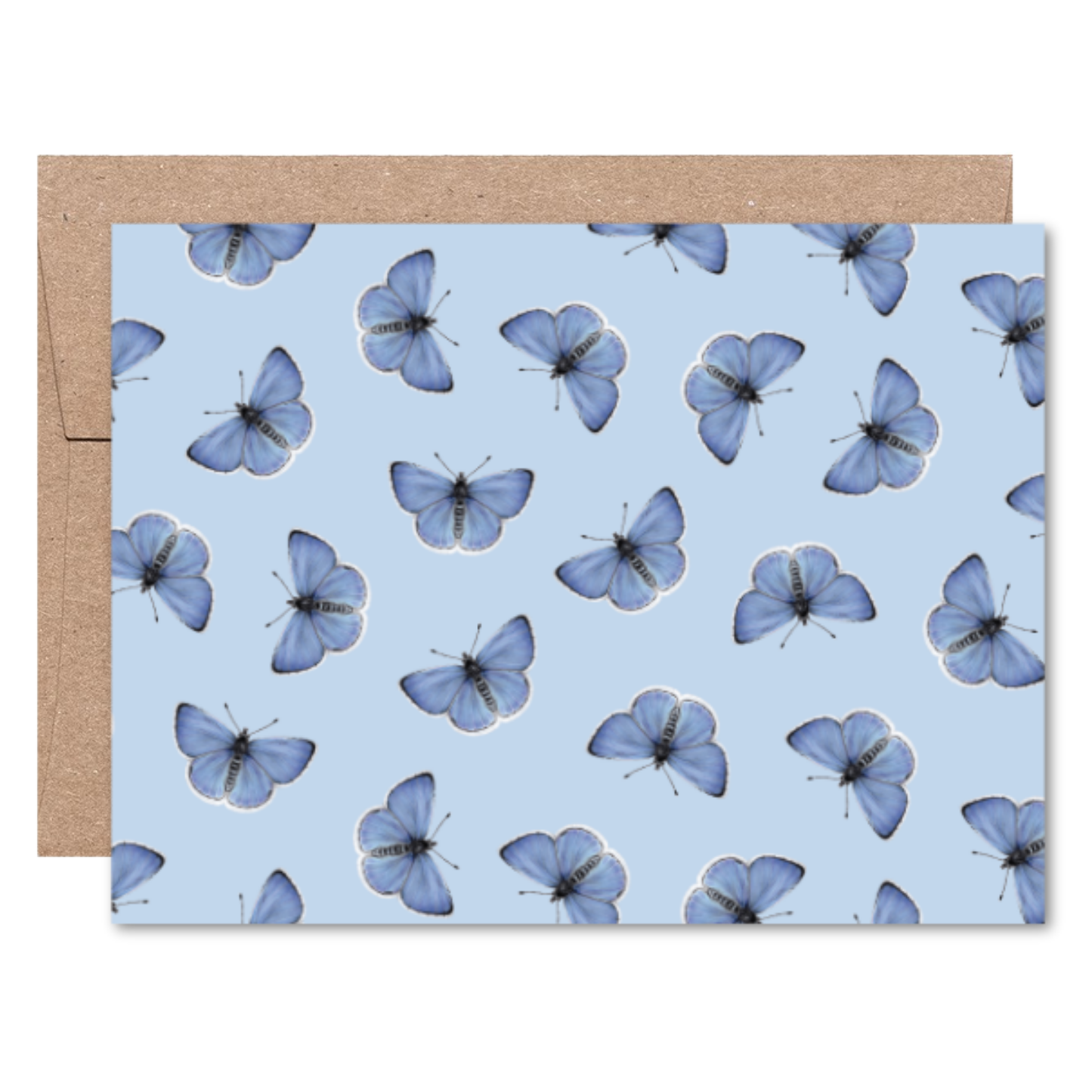 Moths and Butterflies Boxed Card Set