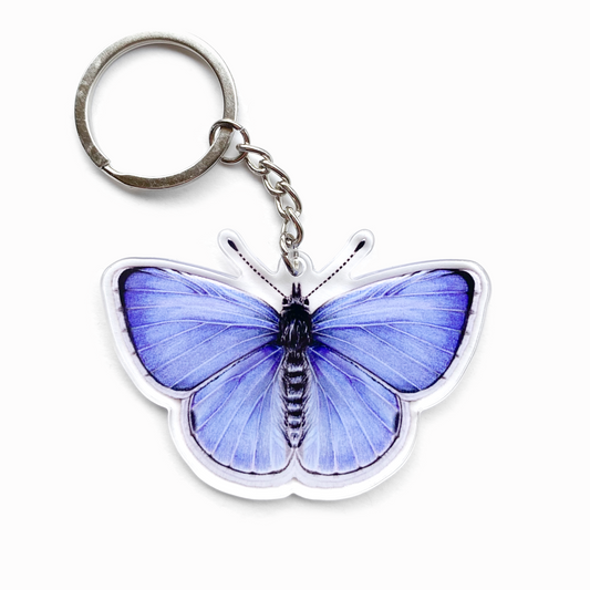 A double-sided acrylic keychain with an illustration of a blue butterfly.
