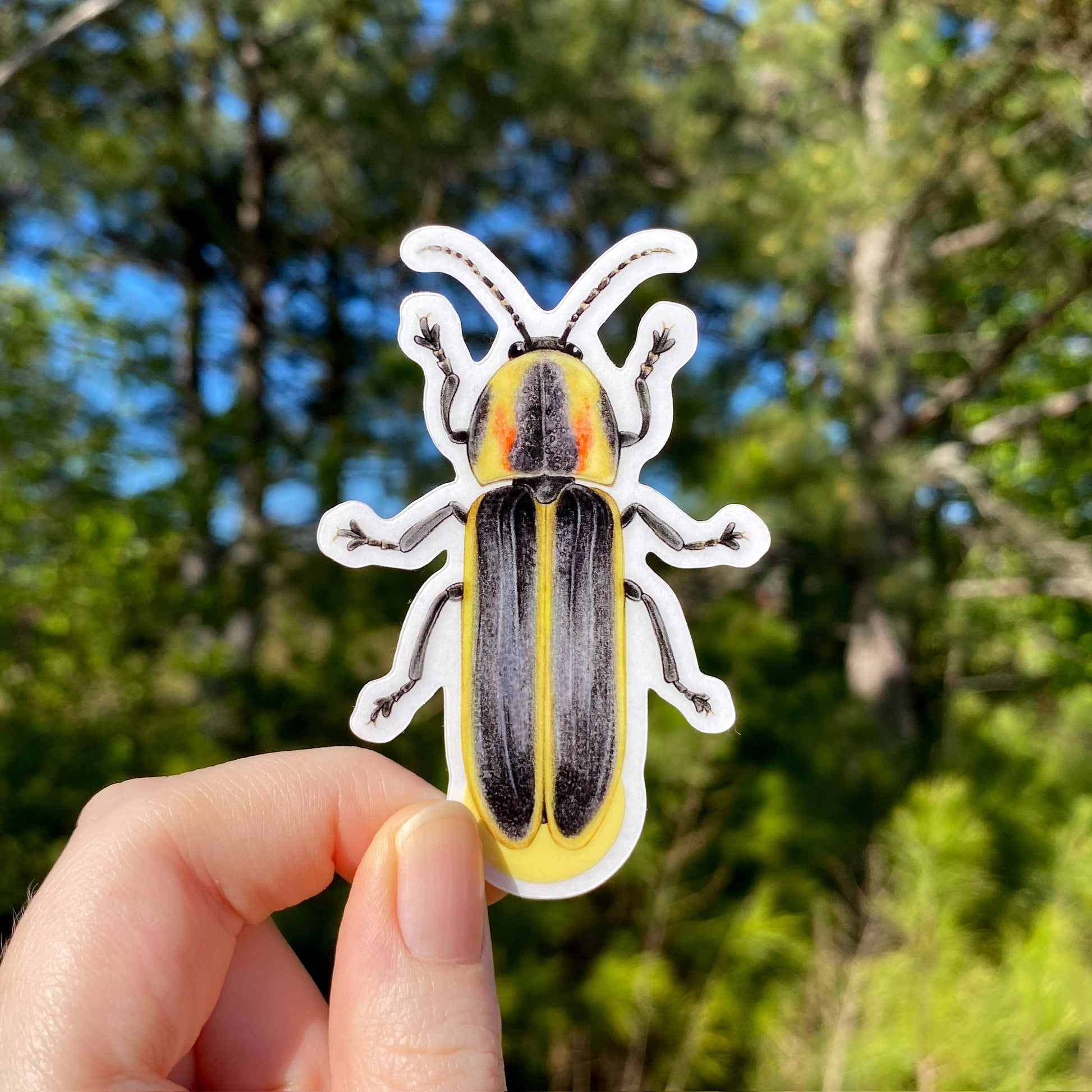 Sticker of a firefly