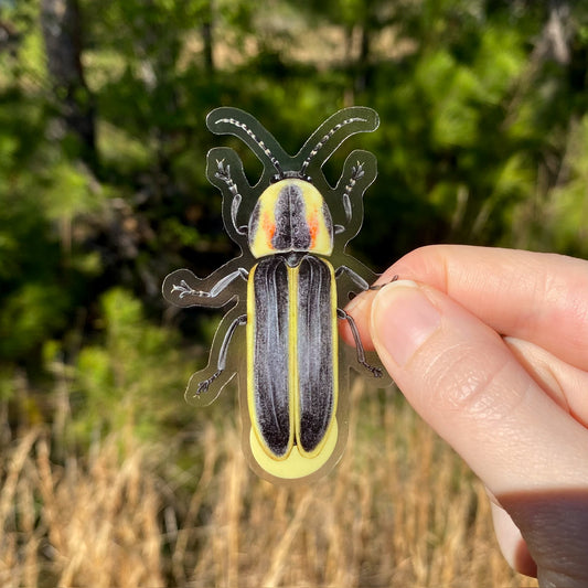 A clear-background vinyl sticker of a spring tree-top flasher firefly being held by a hand with a blurred natural background.
