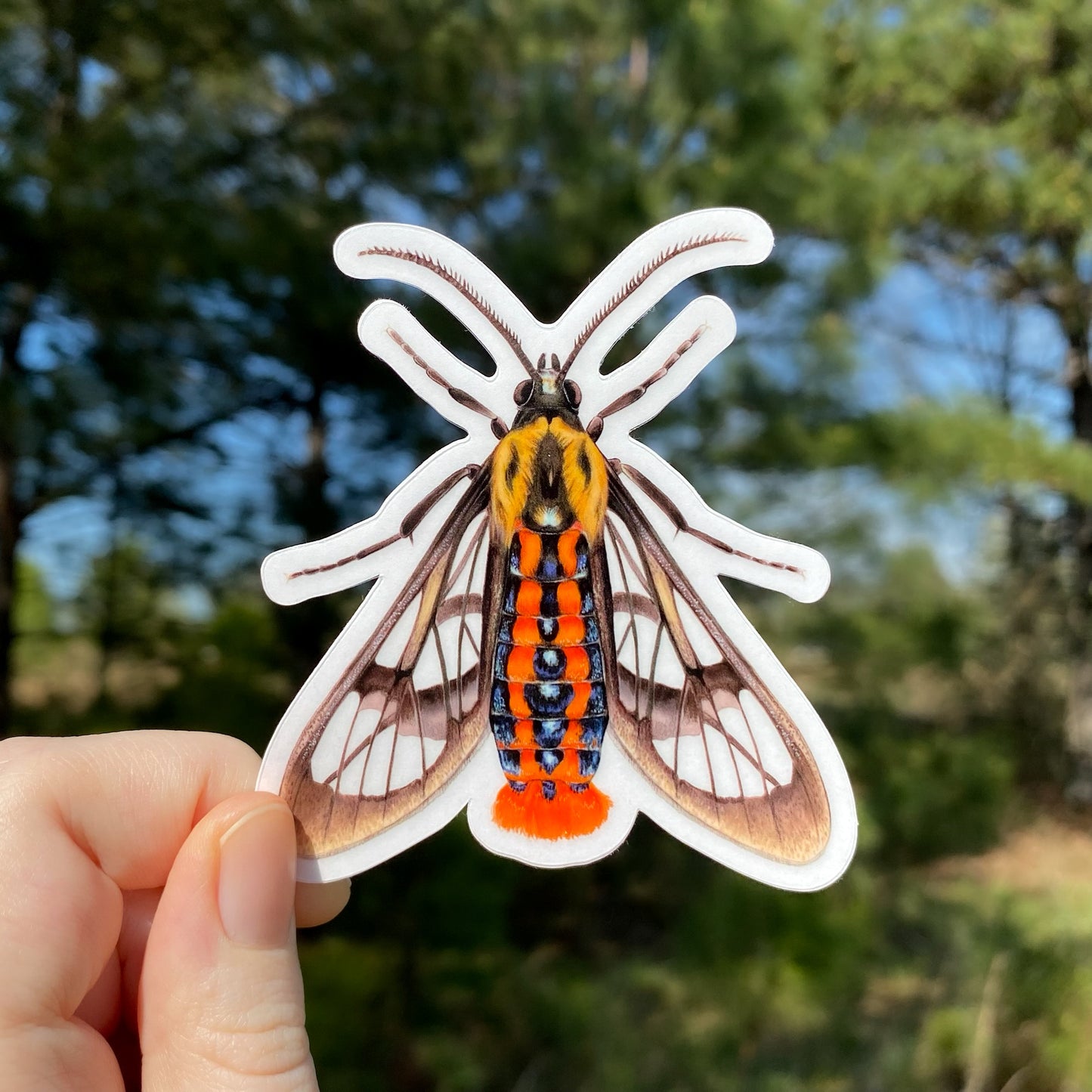Hand holding a colorful moth-shaped sticker with a natural background