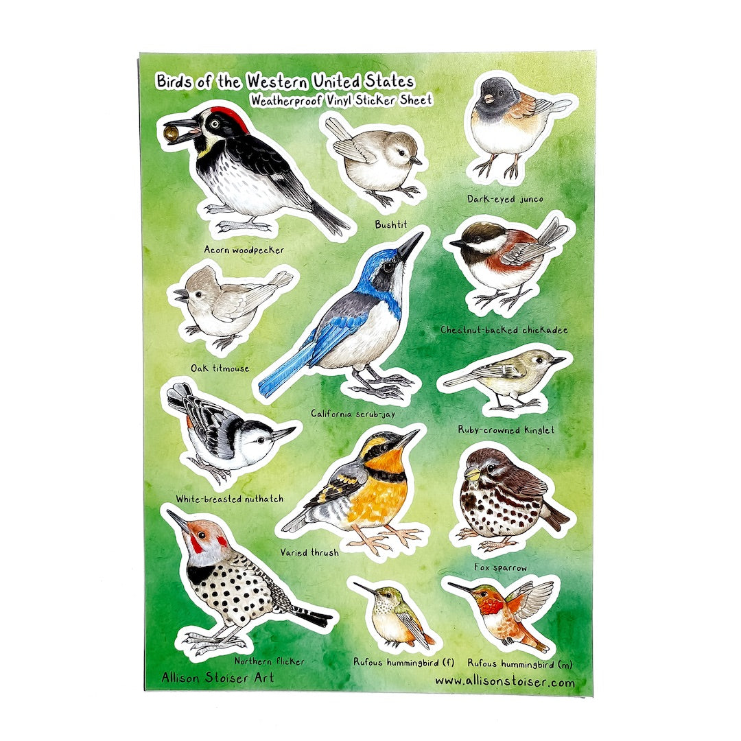 Birds of the Western U.S. Large Weatherproof Vinyl Sticker Sheet