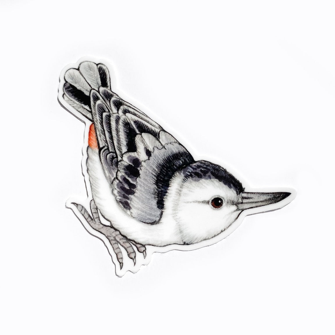 White-breasted Nuthatch Weatherproof Vinyl Sticker