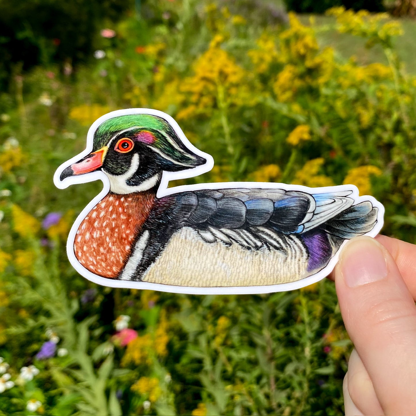 A vinyl sticker of a male wood duck