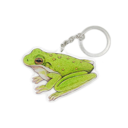 American Green Tree Frog Keychain