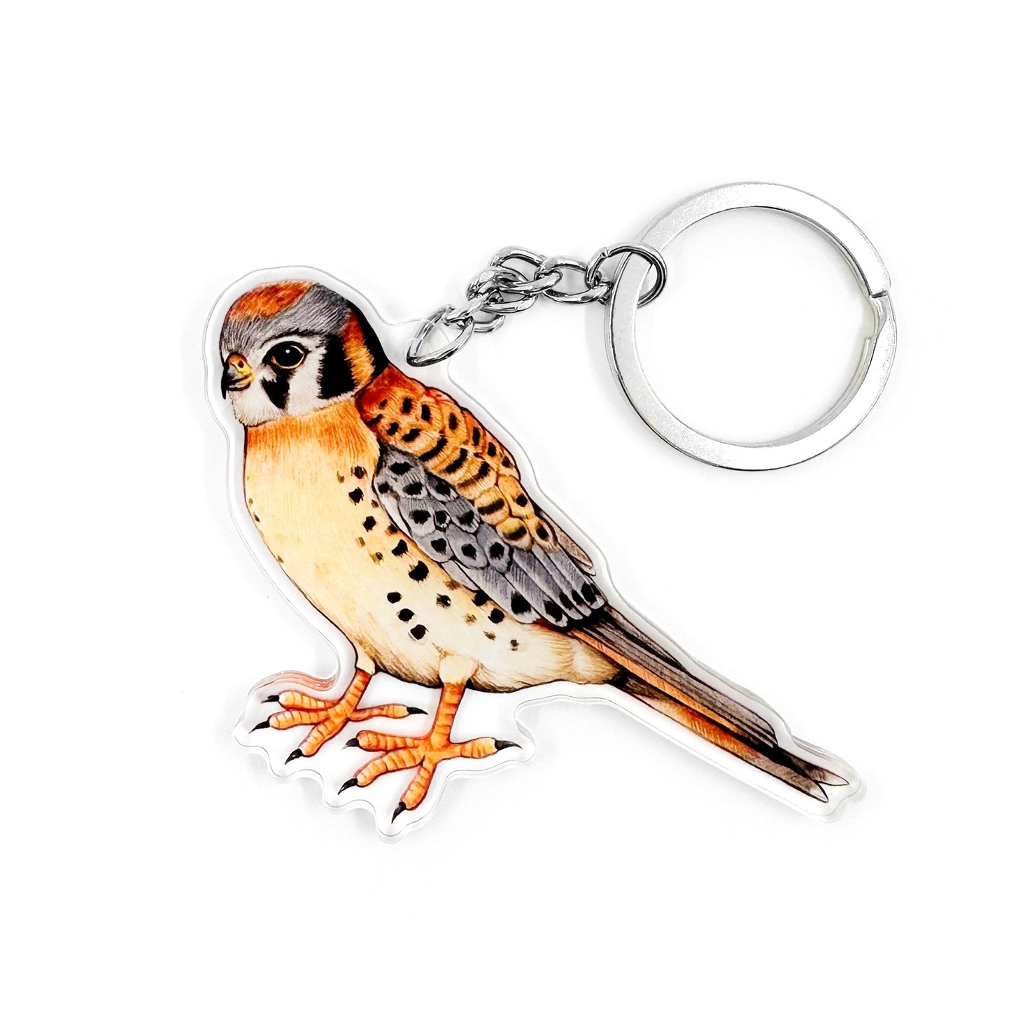 A keychain featuring an illustration of an american kestrel