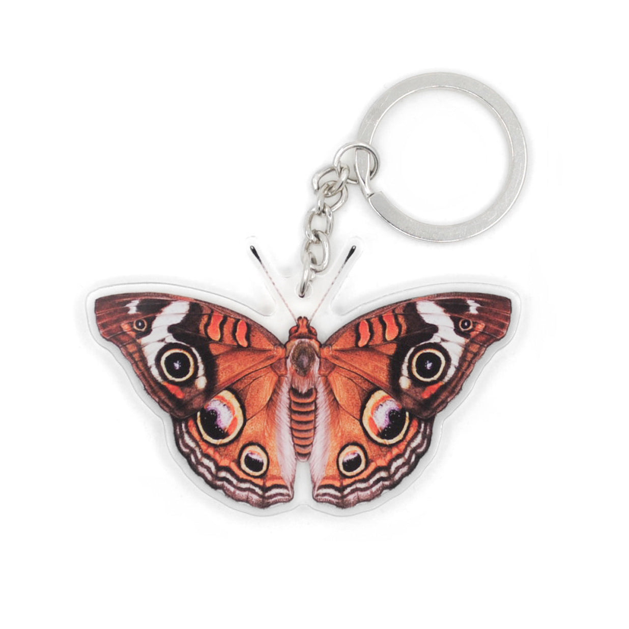 Common Buckeye Keychain