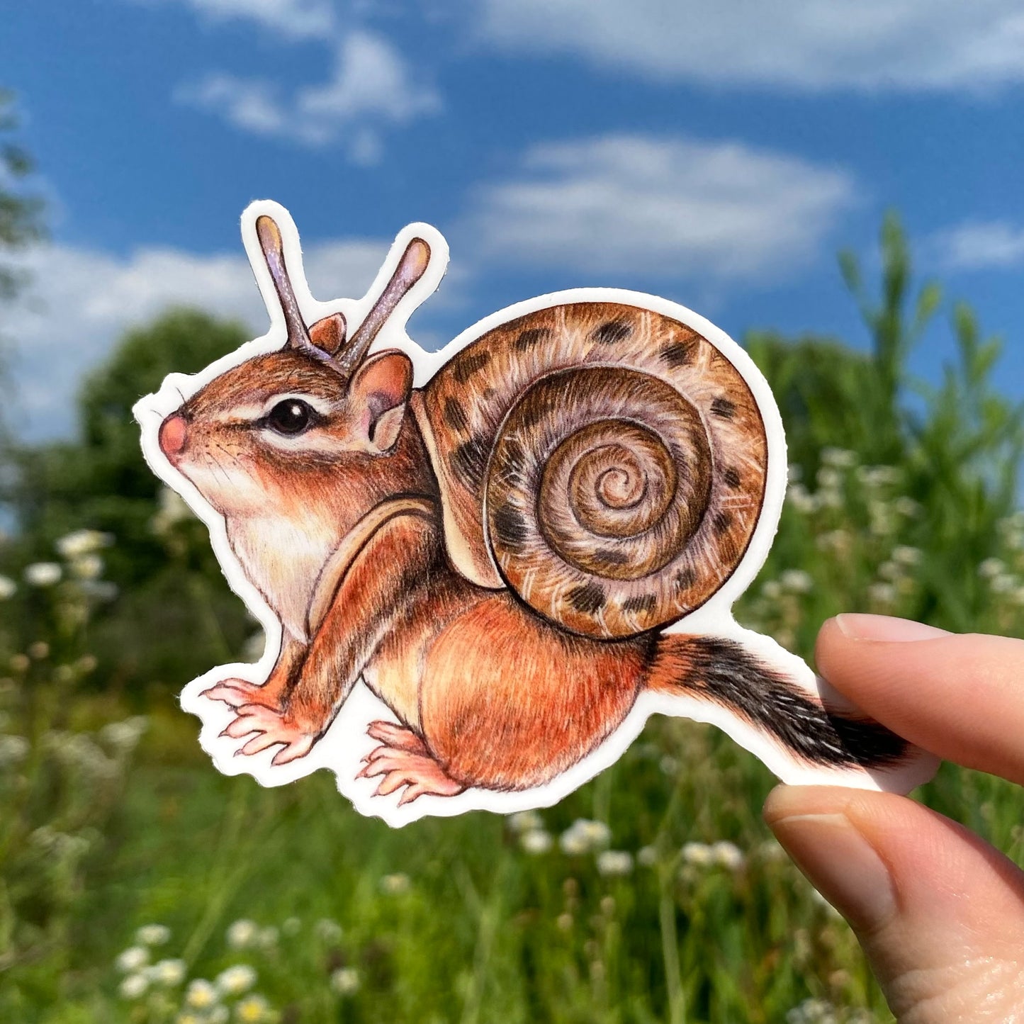 A hand holding a sticker featuring an illustration of a chipmunk dressed as a snail