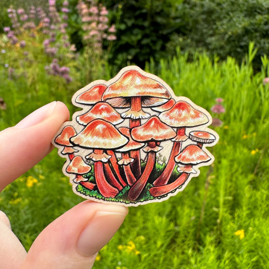 A sustainably sourced pin featuring an illustration of ringed honey mushroom