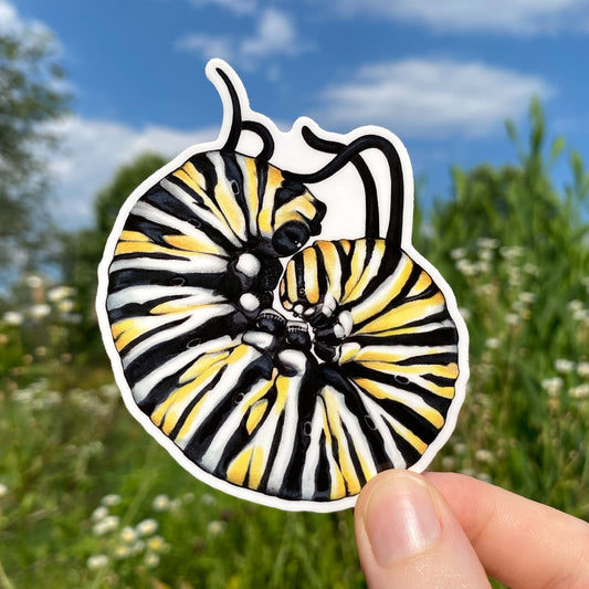 A weatherproof sticker featuring an illustration of a monarch caterpillar