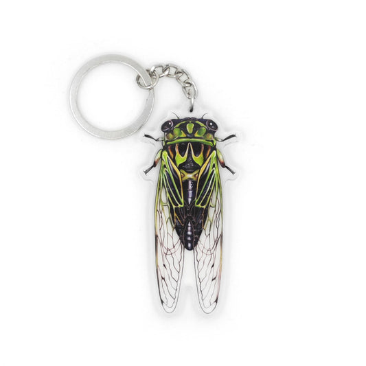 A keychain of a linne's cicada on a white background.