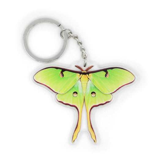 A keychain featuring a luna moth with spread wings