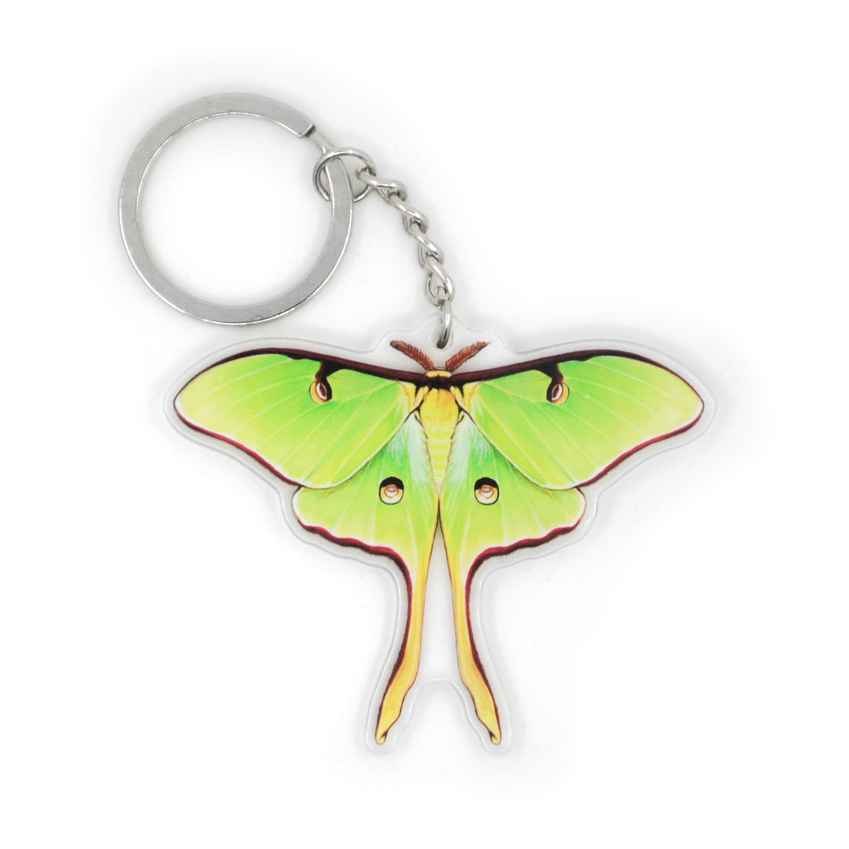 A keychain featuring a luna moth with spread wings