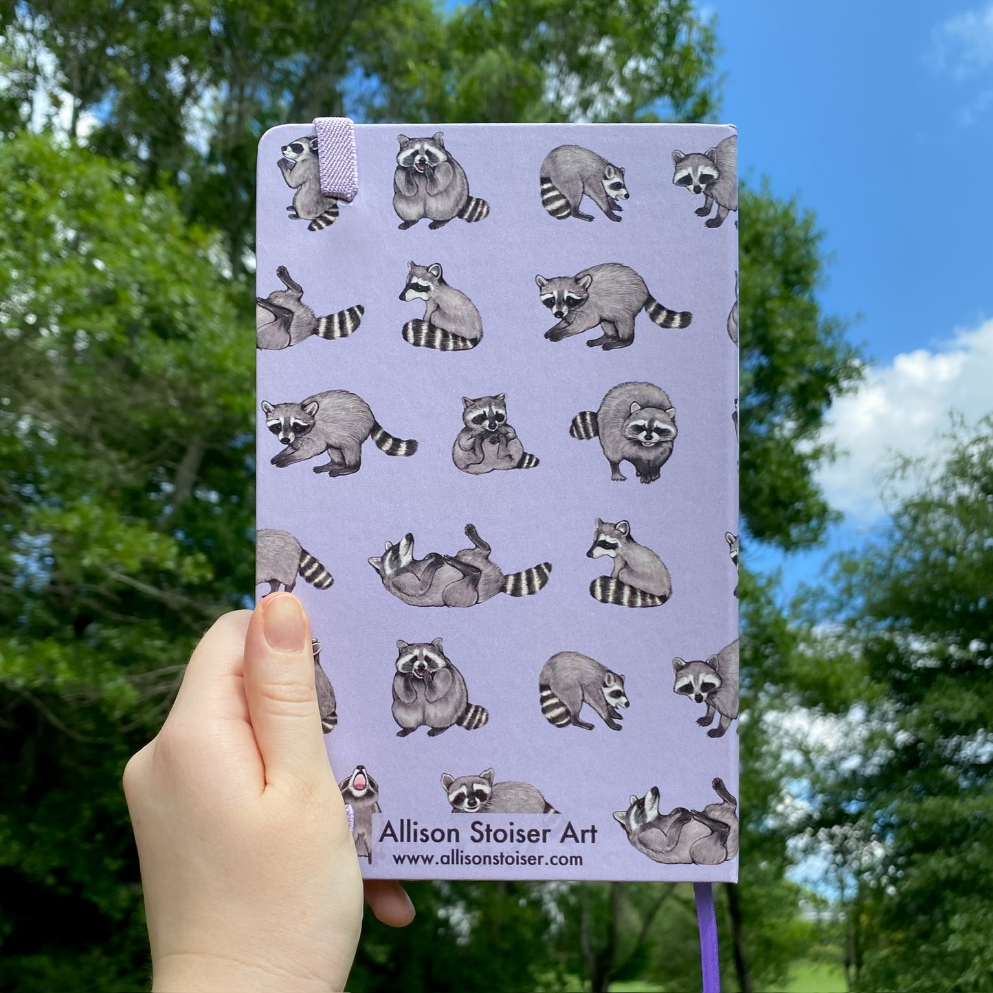 rambunctious raccoon journal