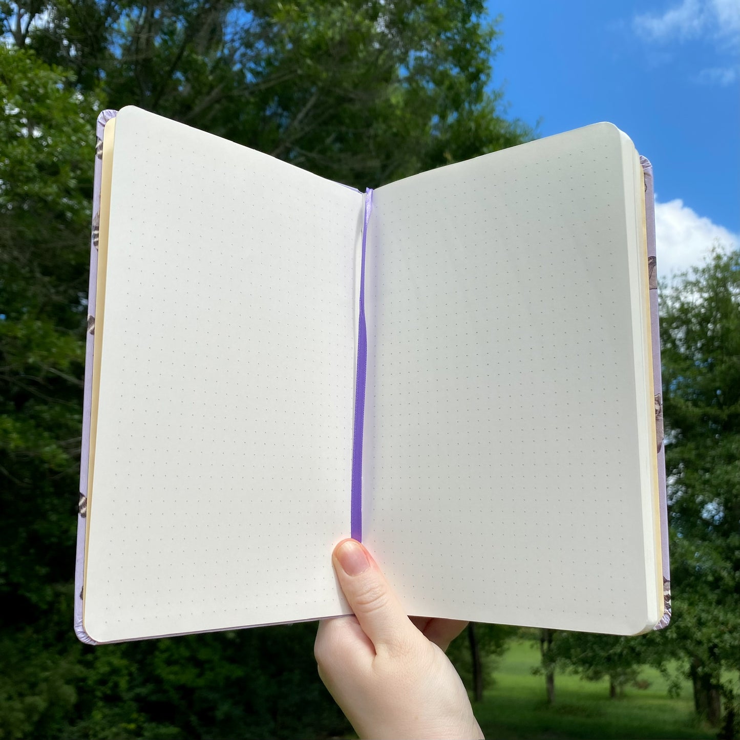 rambunctious raccoon journal interior