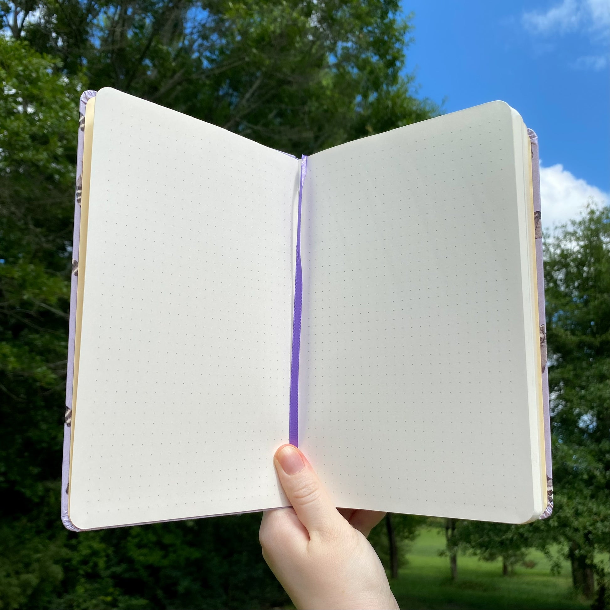 rambunctious raccoon journal interior