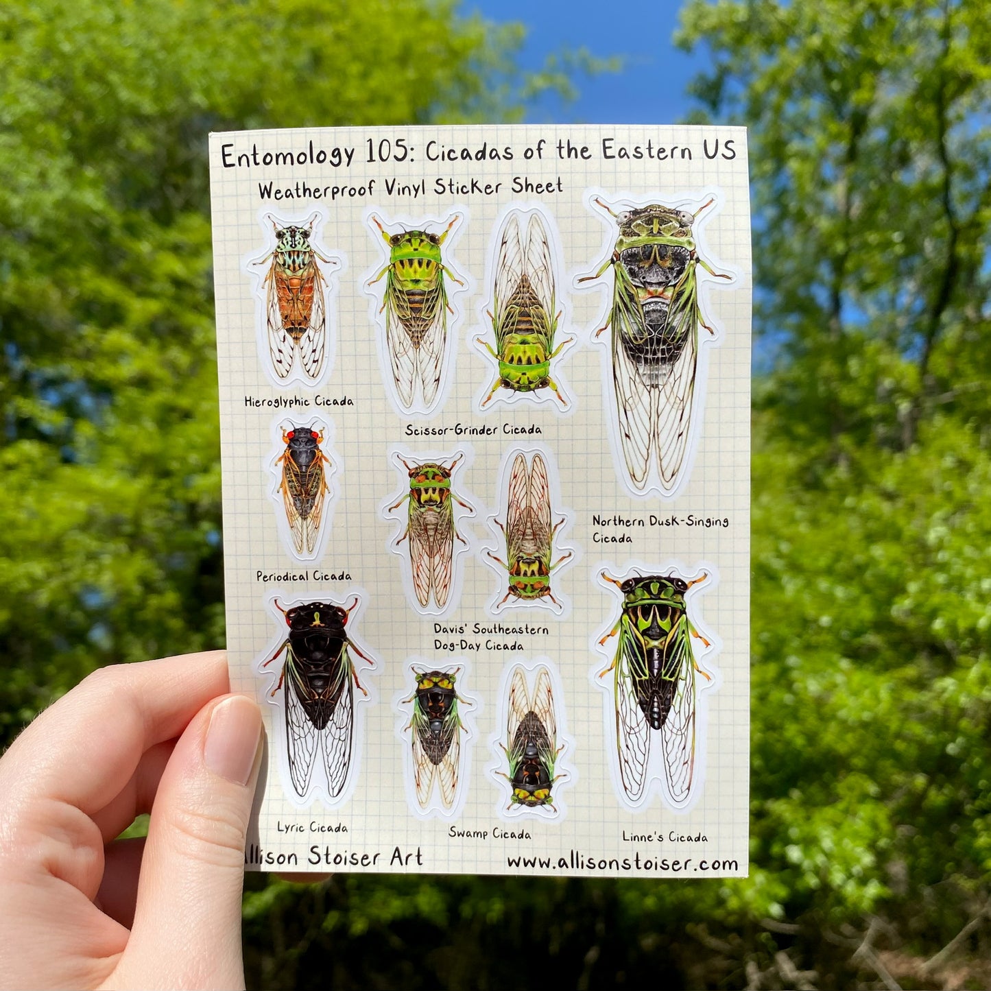 a sticker sheet with eleven cicada stickers