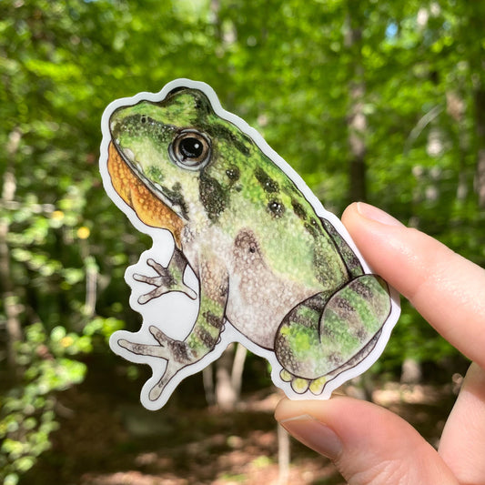 A hand holding a weatherproof vinyl sticker of a cricket frog.