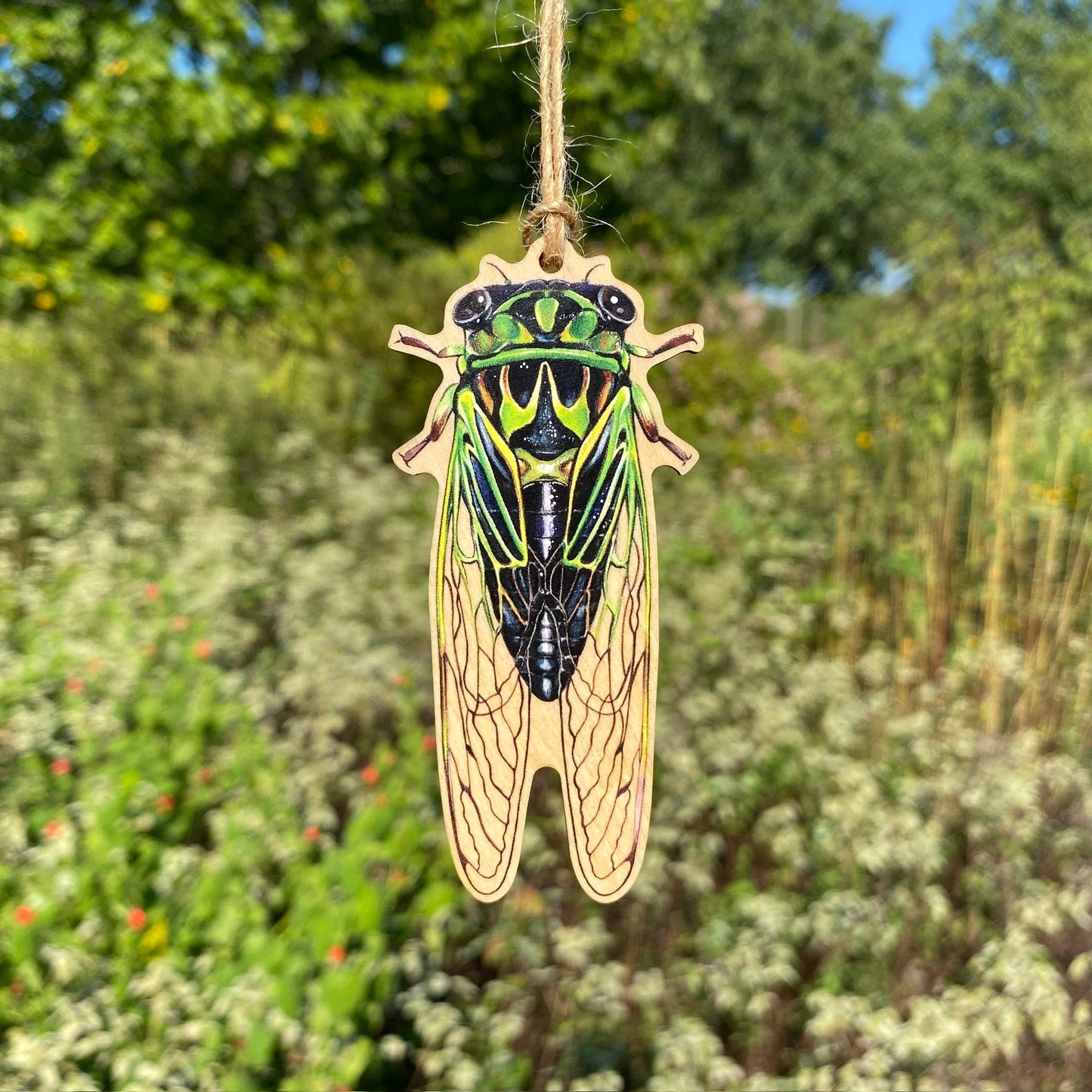A wooden ornament strung with twine of a green Linne's cicada.