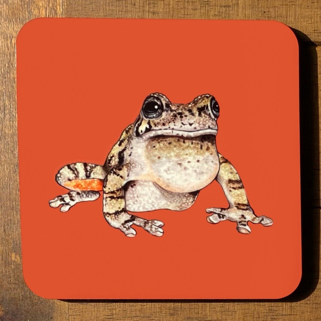 Frog and Toad Coasters (Individuals)