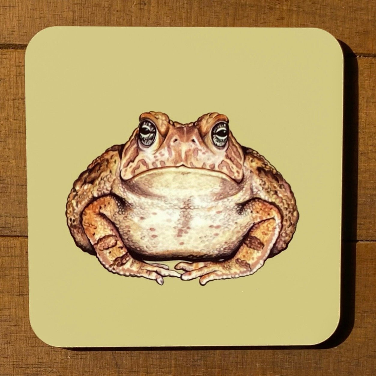Frog and Toad Coasters (Individuals)