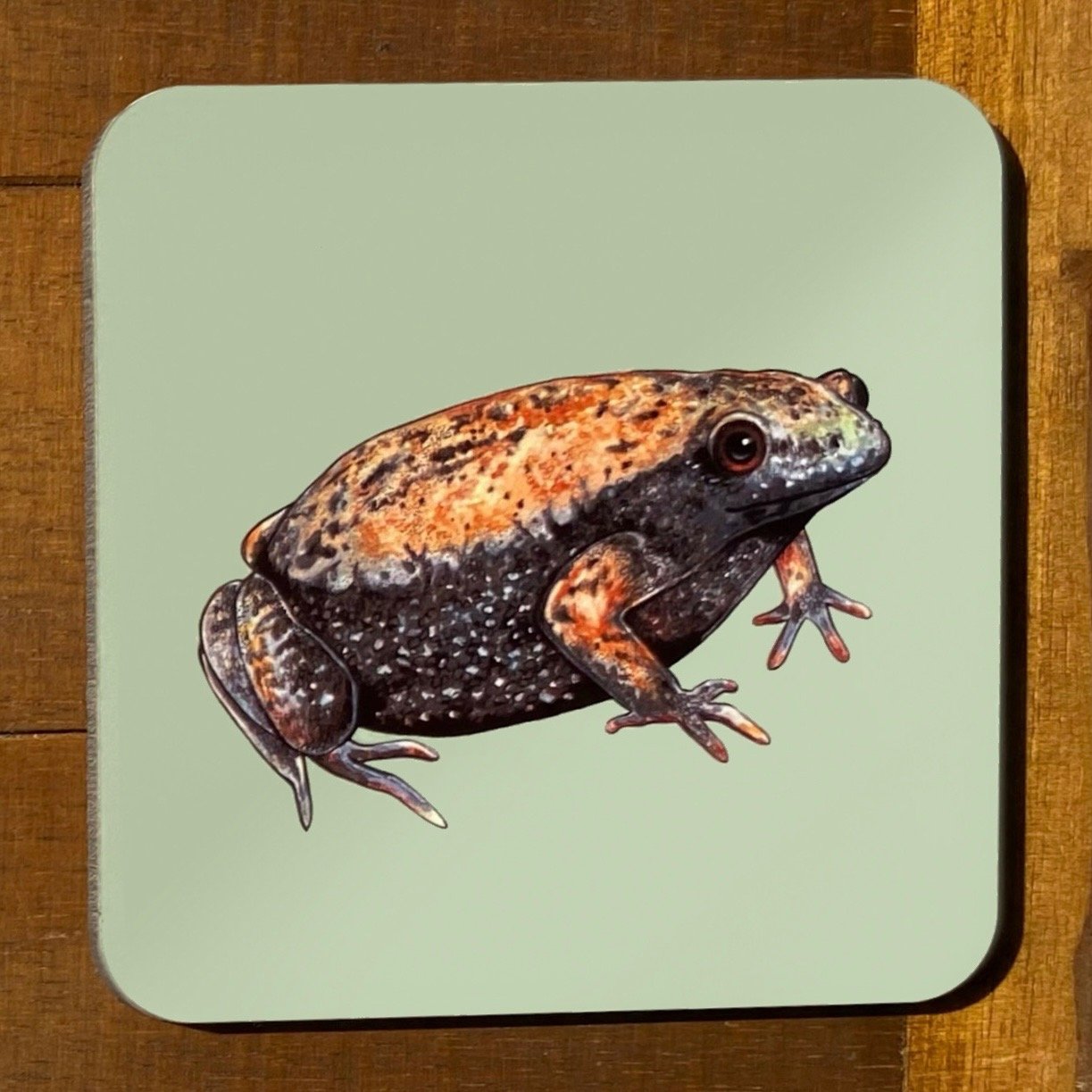 Frog and Toad Coasters (Individuals)