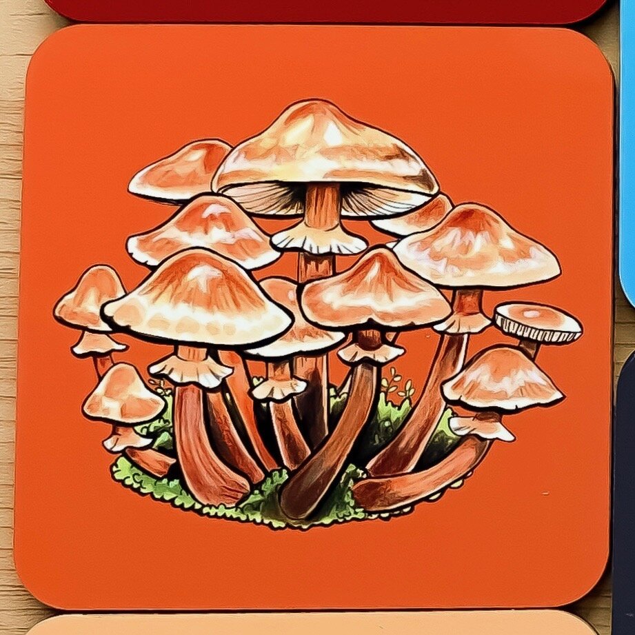Mushroom coasters
