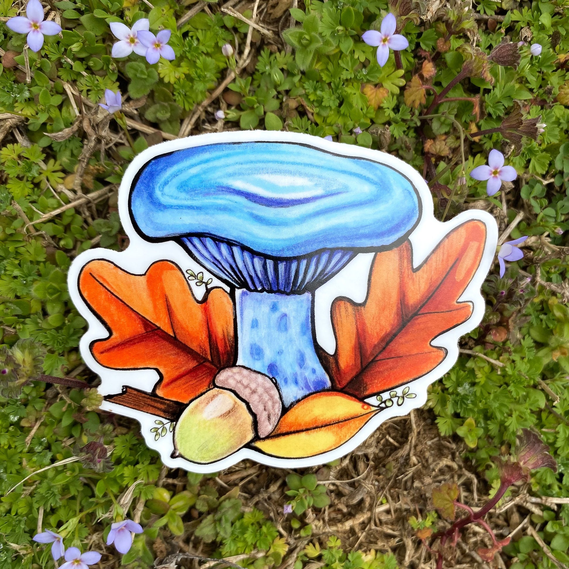 A hand holding a sticker featuring an illustration of an indigo milkcap mushroom