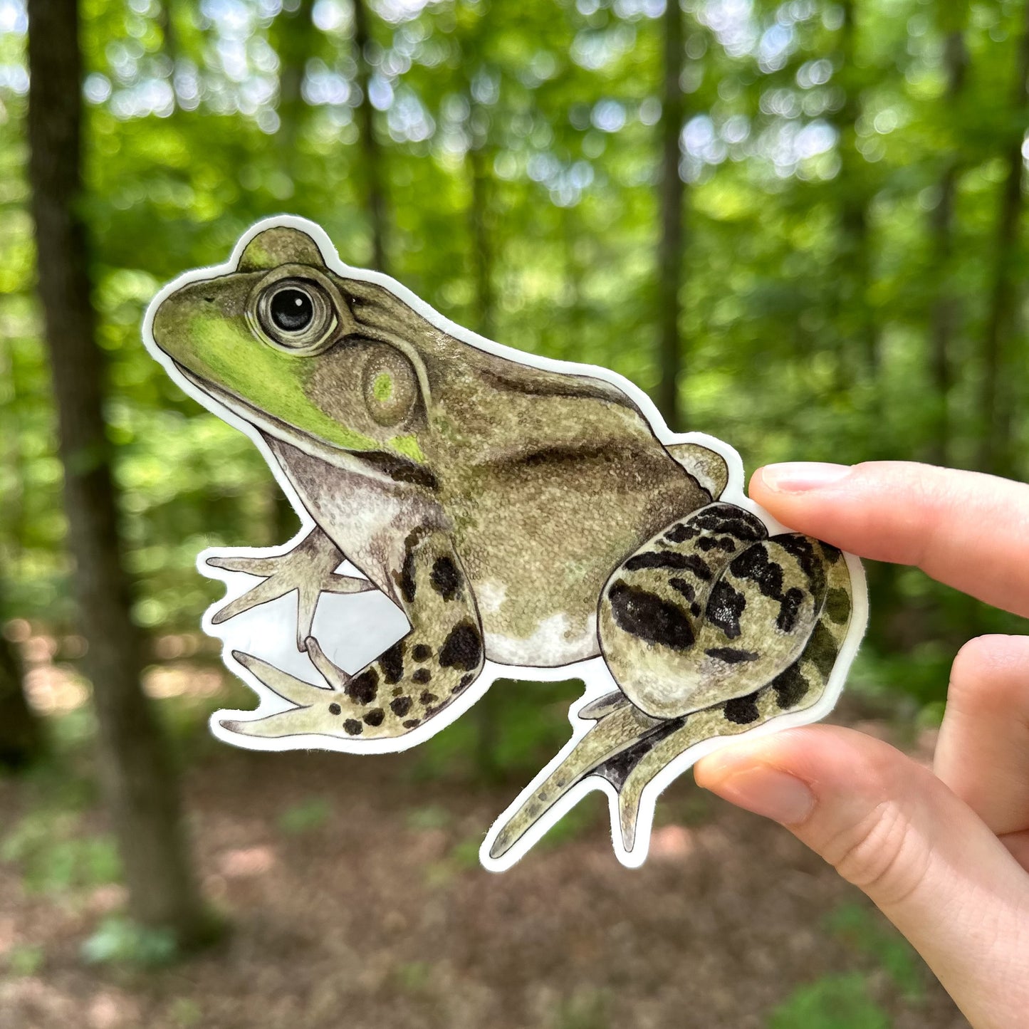 American Bullfrog Weatherproof Vinyl Sticker