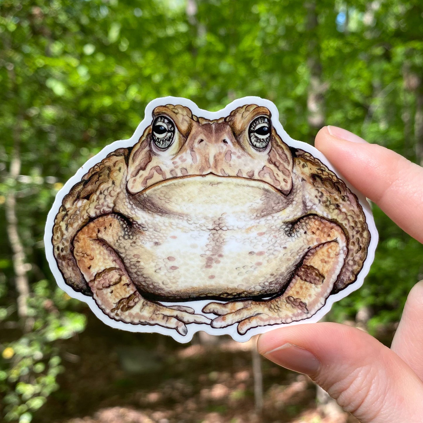 A hand holding a sticker featuring an illustration of a Fowler's toad