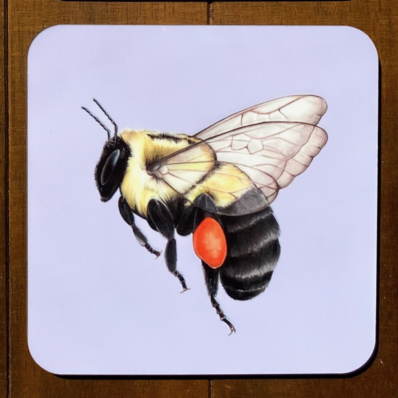 Bee coasters