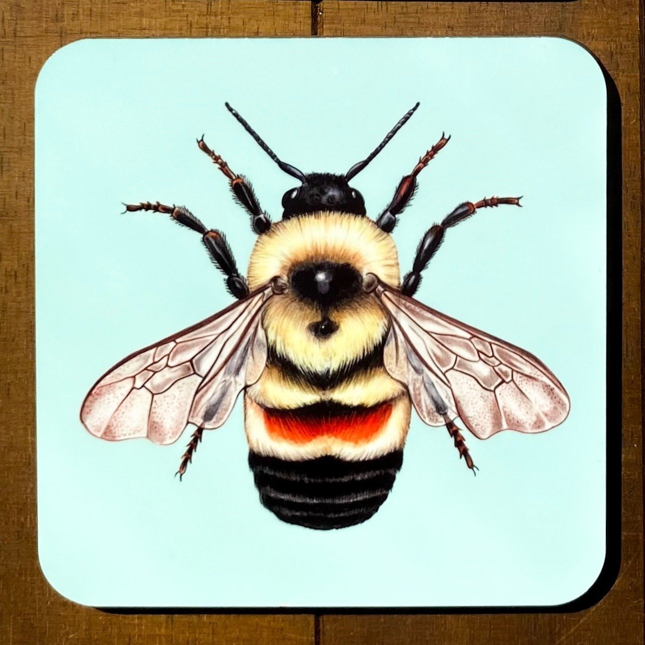 Bee coasters