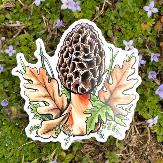 Morel Mushroom Weatherproof Vinyl Sticker