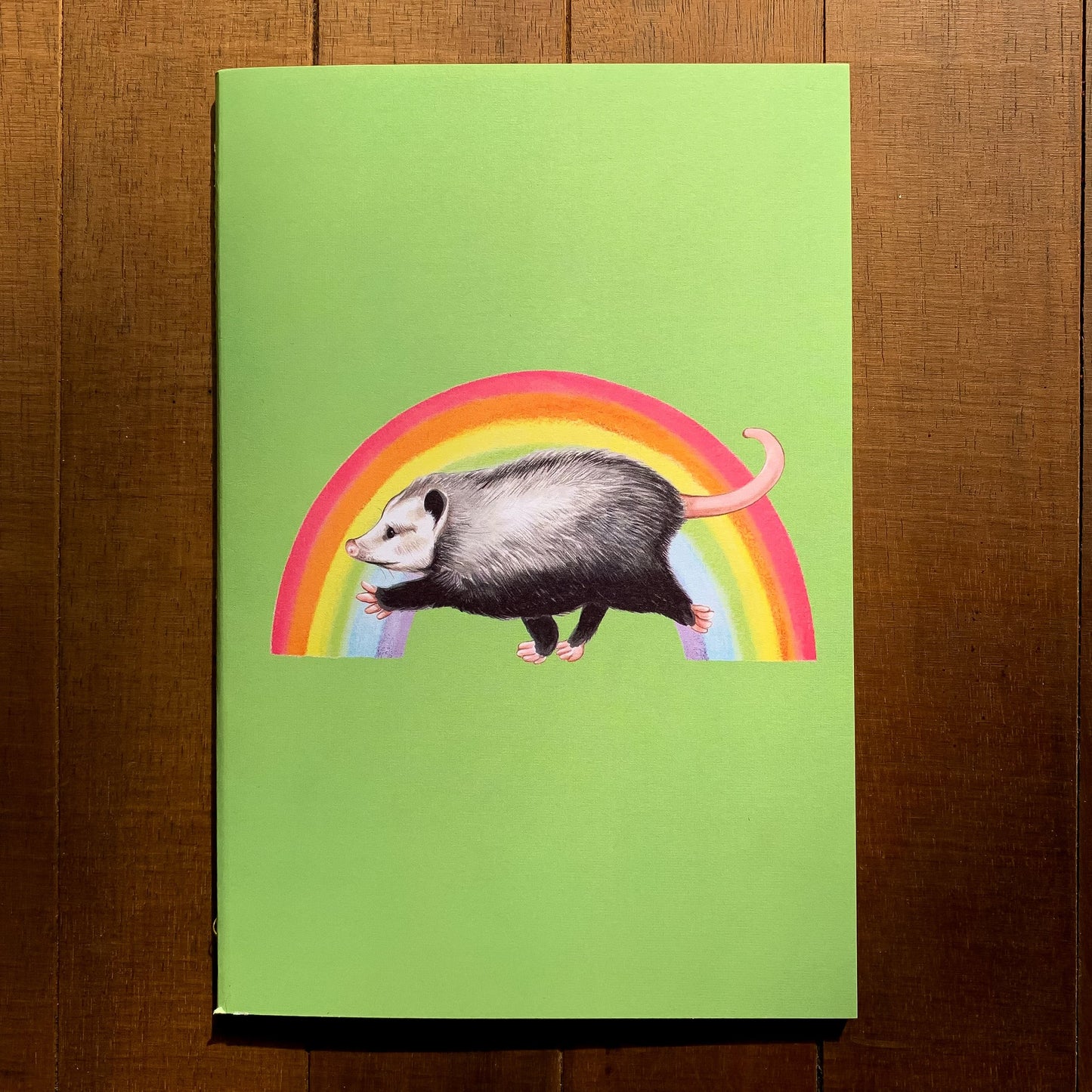 Marching Rainbow Opossum Handmade 5" x 8" Journal (Dotted)
