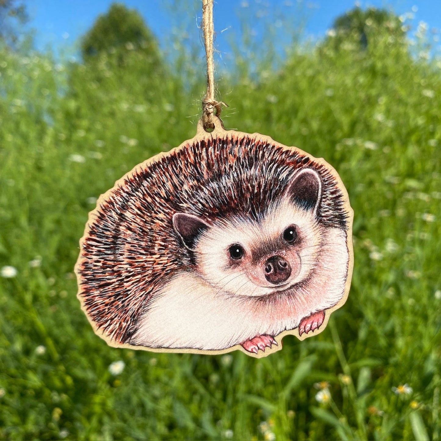 A wooden ornament strung with twine of a hedgehog.