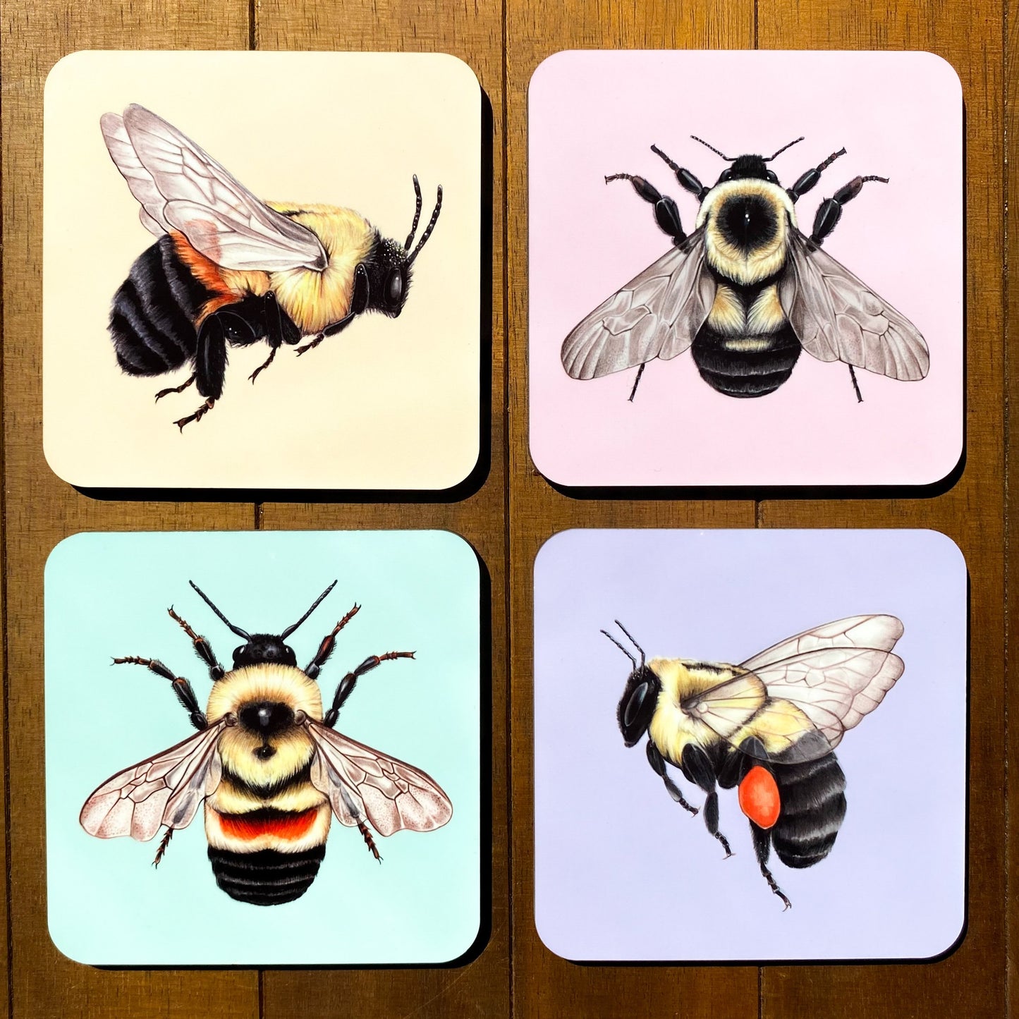 Bee coasters