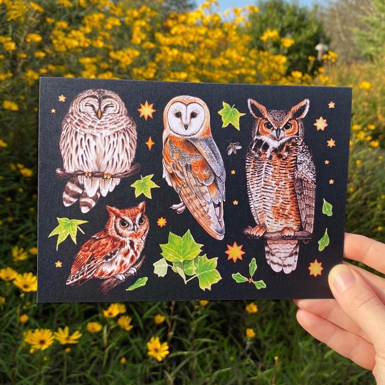 B-Grade Southern Owls Folded Greeting Card