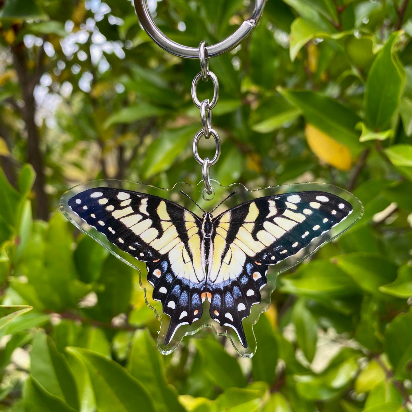 Eastern Tiger Swallowtail Butterfly Keychain